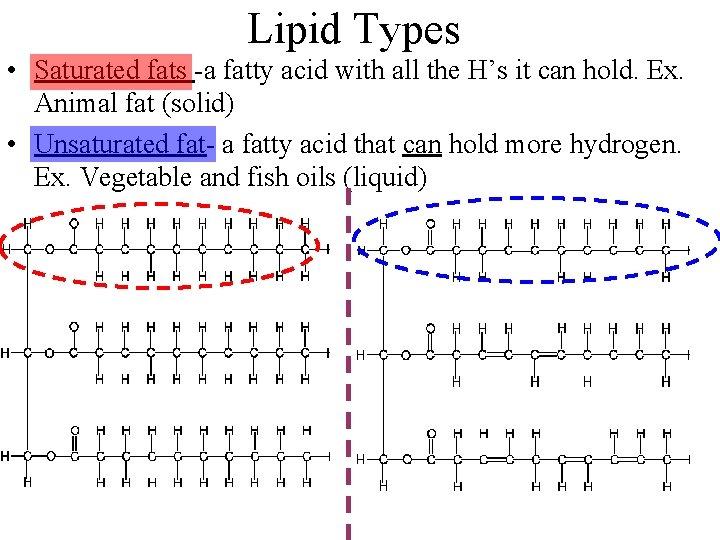 Lipid Types • Saturated fats -a fatty acid with all the H’s it can