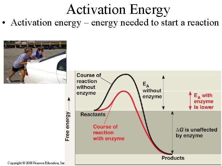 Activation Energy • Activation energy – energy needed to start a reaction Copyright ©