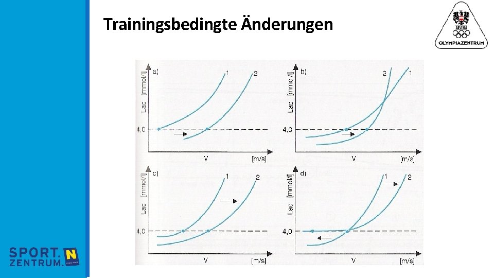 Trainingsbedingte Änderungen 