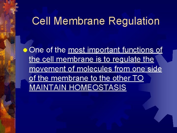 Cell Membrane Regulation ® One of the most important functions of the cell membrane