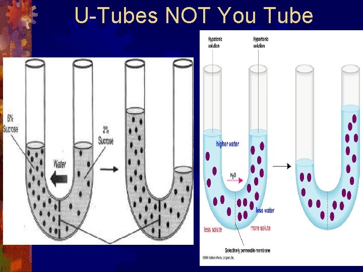 U-Tubes NOT You Tube 