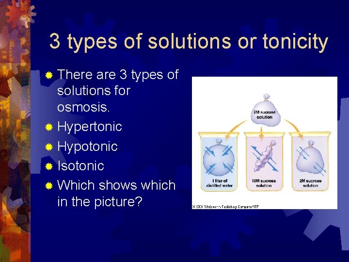 3 types of solutions or tonicity ® There are 3 types of solutions for