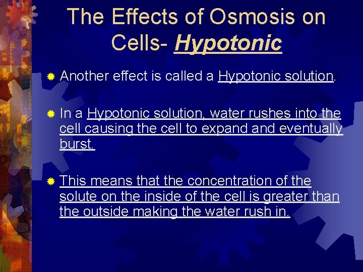 The Effects of Osmosis on Cells- Hypotonic ® Another effect is called a Hypotonic