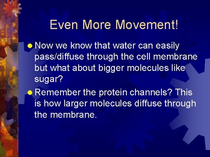 Even More Movement! ® Now we know that water can easily pass/diffuse through the