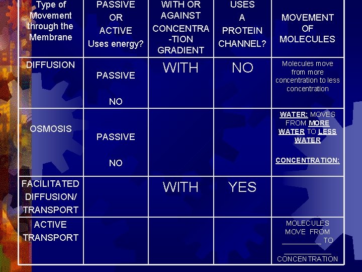 Type of Movement through the Membrane PASSIVE WITH OR USES AGAINST OR A CONCENTRA