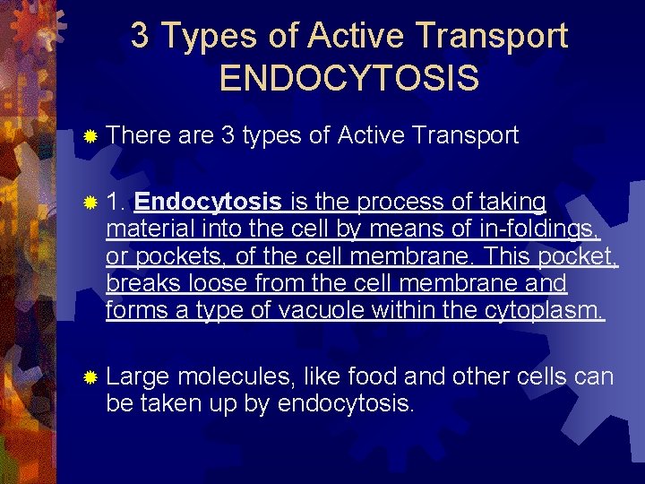 3 Types of Active Transport ENDOCYTOSIS ® There are 3 types of Active Transport
