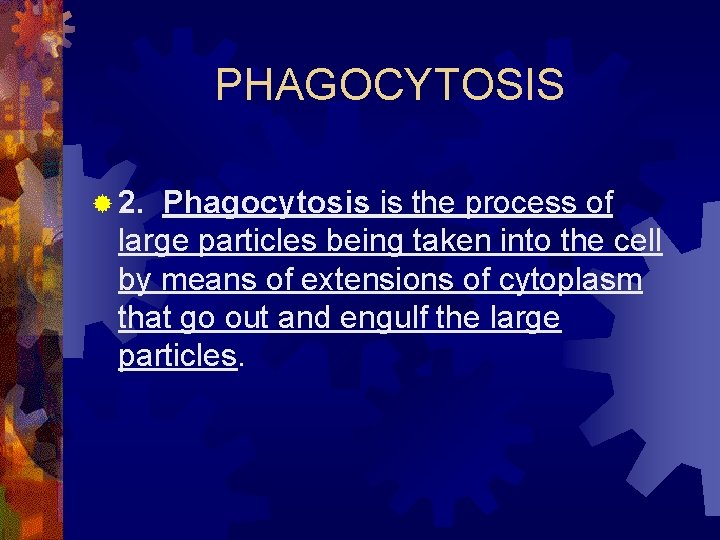 PHAGOCYTOSIS ® 2. Phagocytosis is the process of large particles being taken into the