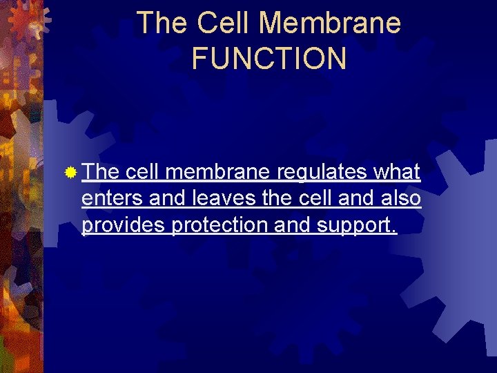 The Cell Membrane FUNCTION ® The cell membrane regulates what enters and leaves the