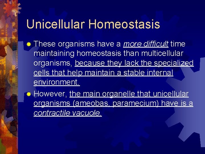 Unicellular Homeostasis ® These organisms have a more difficult time maintaining homeostasis than multicellular