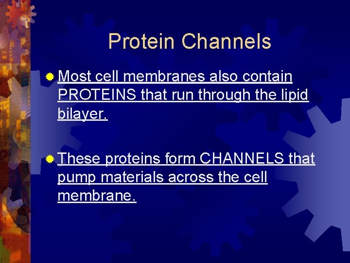 Protein Channels ® Most cell membranes also contain PROTEINS that run through the lipid