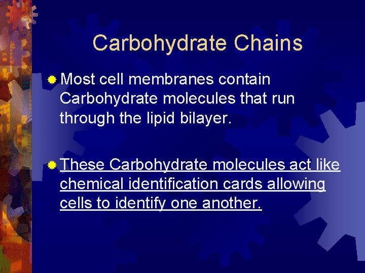 Carbohydrate Chains ® Most cell membranes contain Carbohydrate molecules that run through the lipid