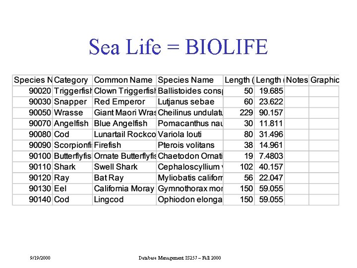 Sea Life = BIOLIFE 9/19/2000 Database Management IS 257 – Fall 2000 Sea Life = BIOLIFE 9/19/2000 Database Management IS 257 – Fall 2000