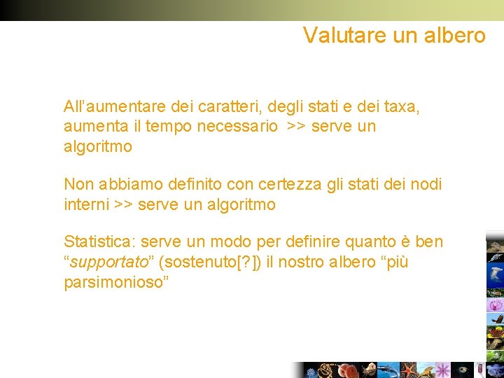 Valutare un albero All’aumentare dei caratteri, degli stati e dei taxa, aumenta il tempo