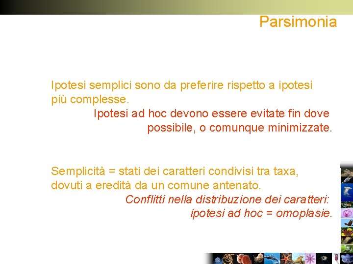 Parsimonia Ipotesi semplici sono da preferire rispetto a ipotesi più complesse. Ipotesi ad hoc