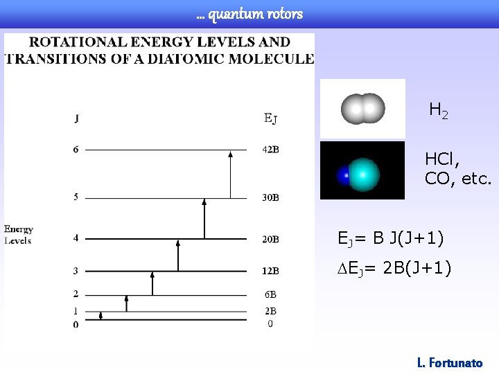 … quantum rotors H 2 HCl, CO, etc. EJ= B J(J+1) EJ= 2 B(J+1)