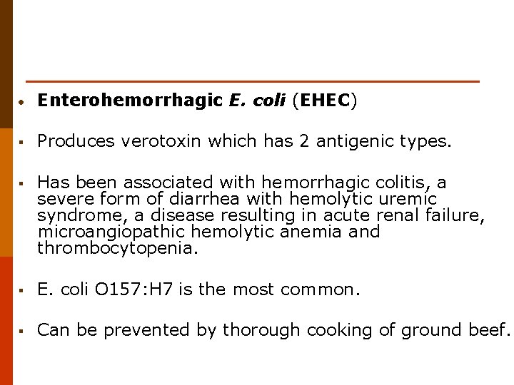  • Enterohemorrhagic E. coli (EHEC) § Produces verotoxin which has 2 antigenic types.
