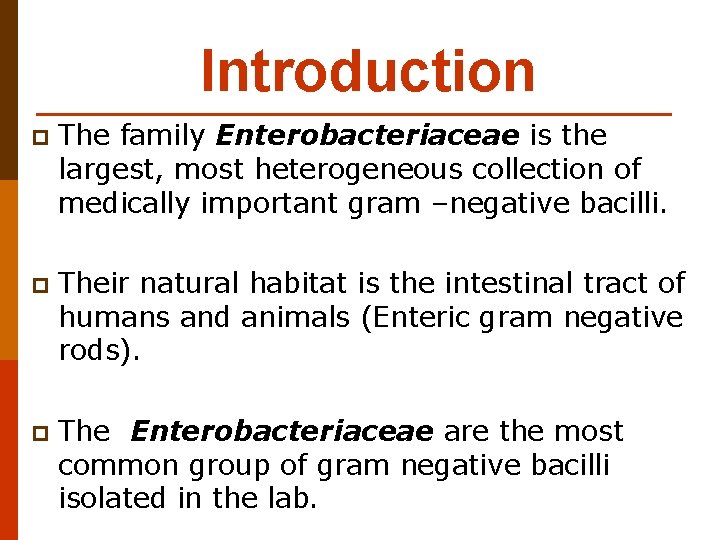 Introduction p The family Enterobacteriaceae is the largest, most heterogeneous collection of medically important