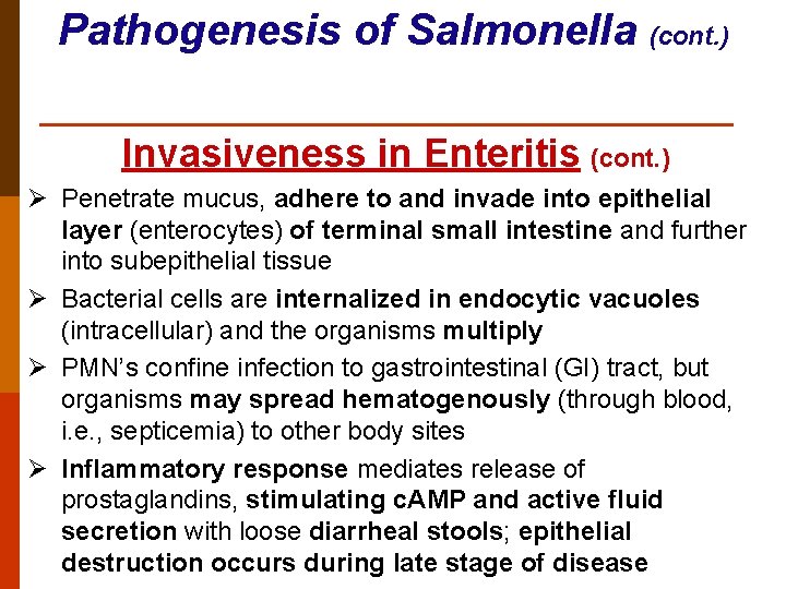Pathogenesis of Salmonella (cont. ) Invasiveness in Enteritis (cont. ) Ø Penetrate mucus, adhere