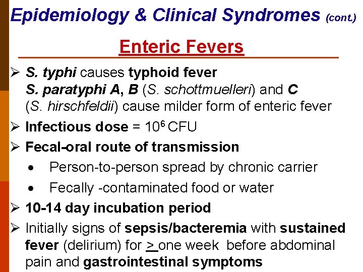 Epidemiology & Clinical Syndromes (cont. ) Enteric Fevers Ø S. typhi causes typhoid fever