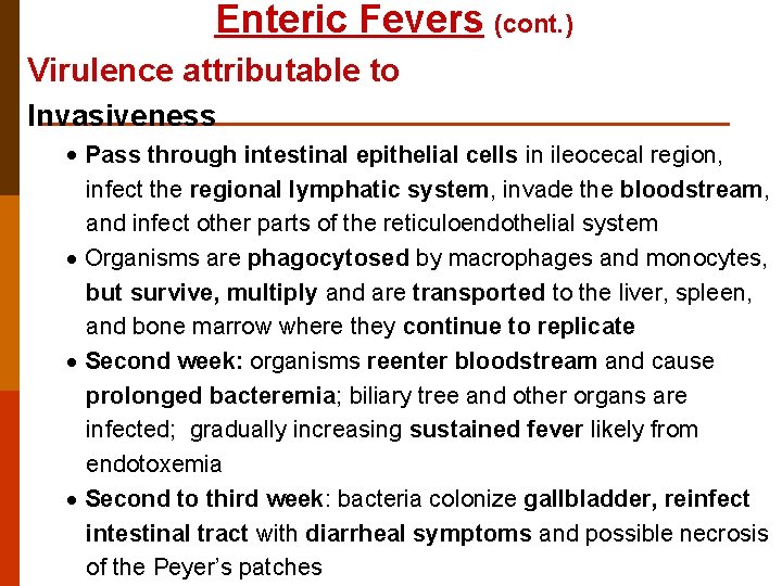 Enteric Fevers (cont. ) Virulence attributable to Invasiveness · Pass through intestinal epithelial cells