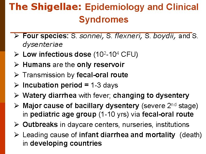 The Shigellae: Epidemiology and Clinical Syndromes Ø Four species: S. sonnei, S. flexneri, S.