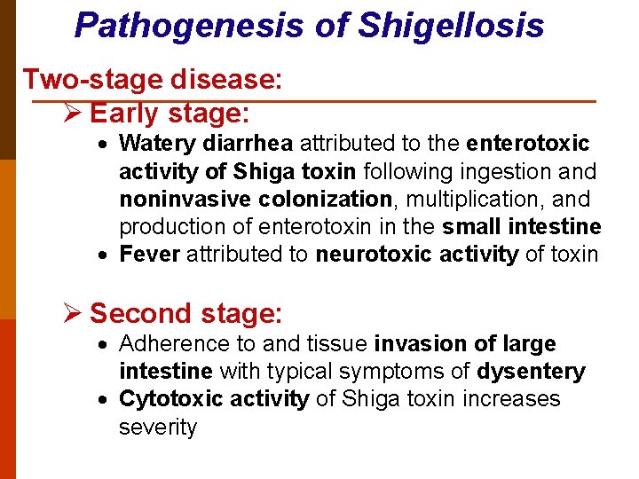 Pathogenesis of Shigellosis Two-stage disease: Ø Early stage: · Watery diarrhea attributed to the