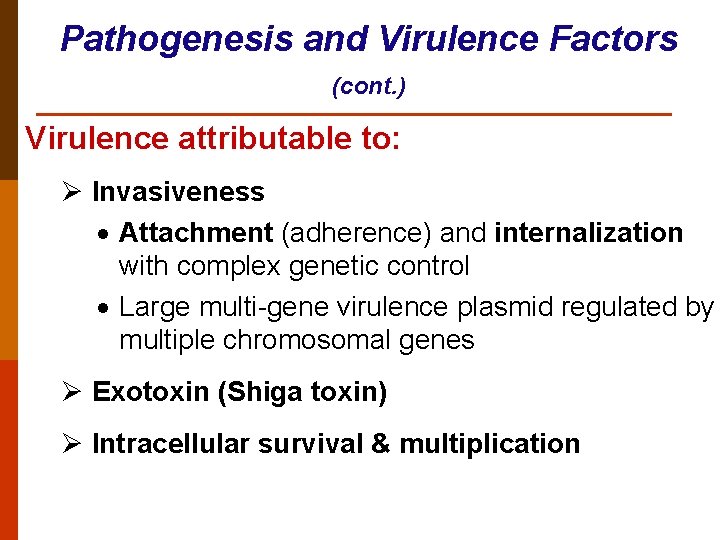 Pathogenesis and Virulence Factors (cont. ) Virulence attributable to: Ø Invasiveness · Attachment (adherence)