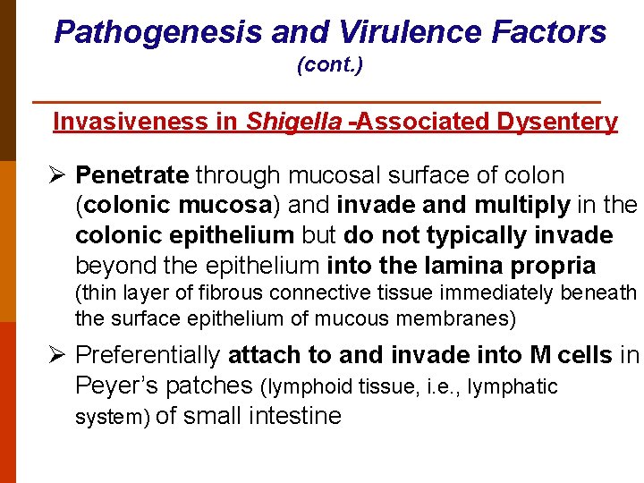 Pathogenesis and Virulence Factors (cont. ) Invasiveness in Shigella -Associated Dysentery Ø Penetrate through