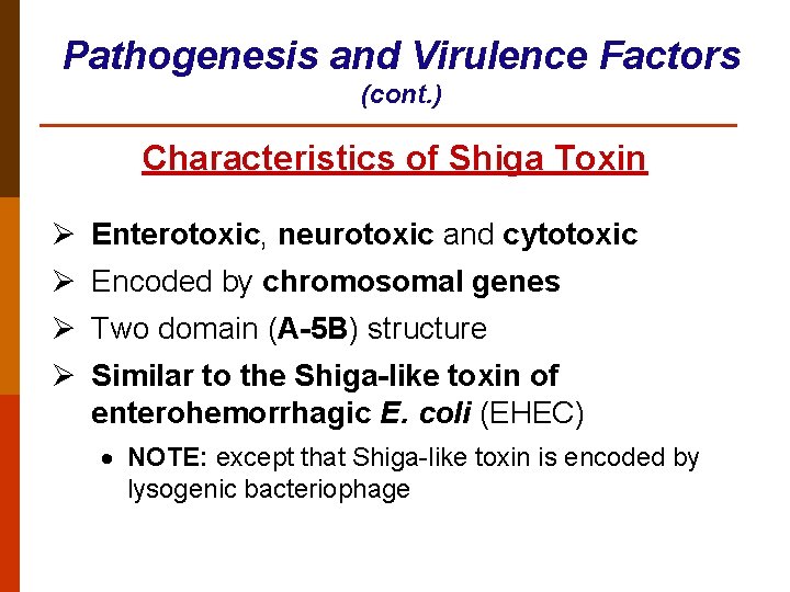 Pathogenesis and Virulence Factors (cont. ) Characteristics of Shiga Toxin Ø Enterotoxic, neurotoxic and