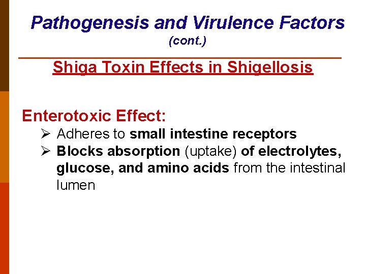 Pathogenesis and Virulence Factors (cont. ) Shiga Toxin Effects in Shigellosis Enterotoxic Effect: Ø