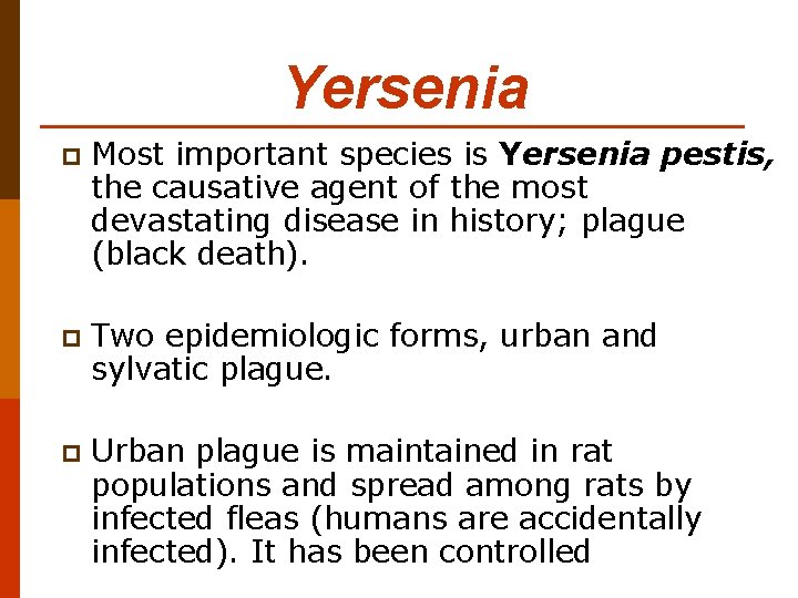 Yersenia p Most important species is Yersenia pestis, the causative agent of the most