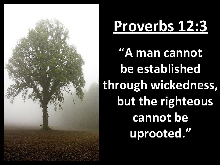 Proverbs 12: 3 “A man cannot be established through wickedness, but the righteous cannot