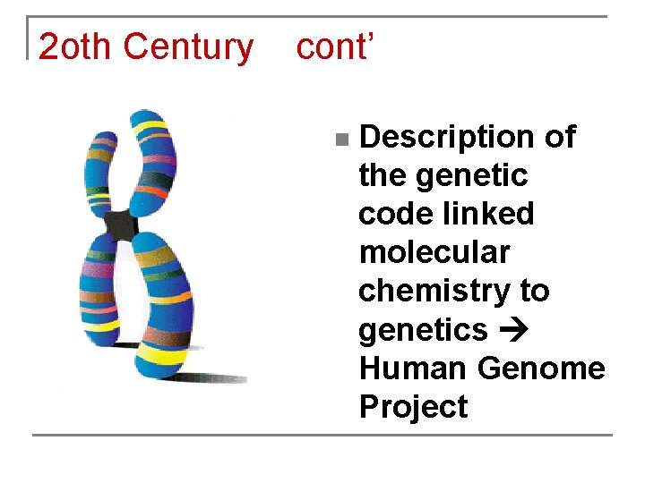 2 oth Century cont’ n Description of the genetic code linked molecular chemistry to