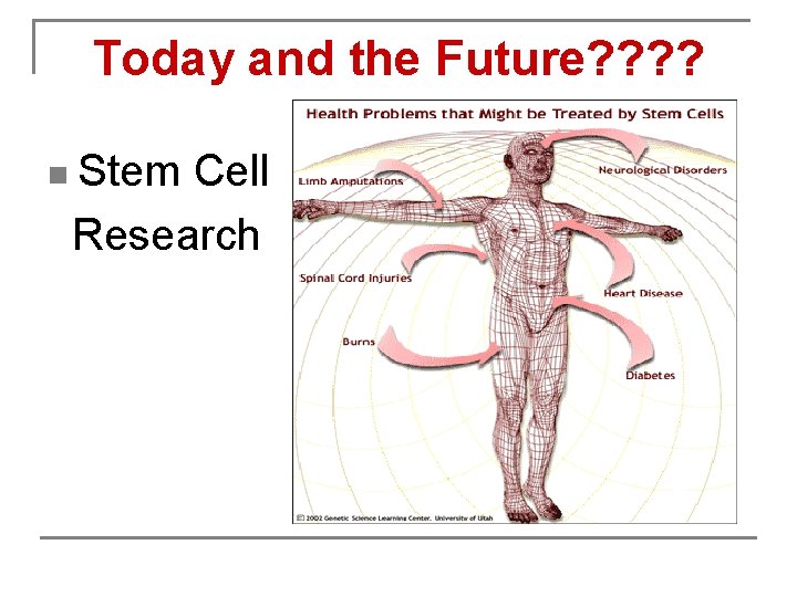 Today and the Future? ? n Stem Cell Research 