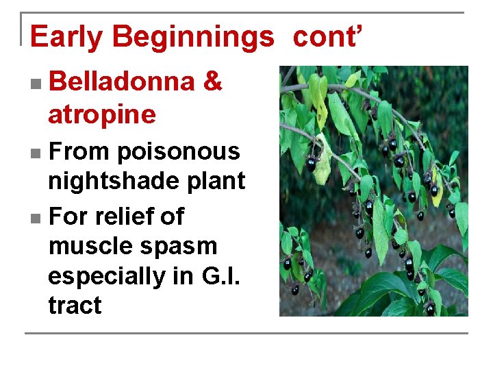 Early Beginnings cont’ n Belladonna & atropine From poisonous nightshade plant n For relief