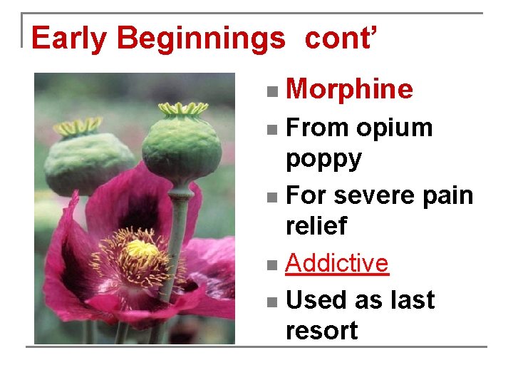 Early Beginnings cont’ n Morphine From opium poppy n For severe pain relief n