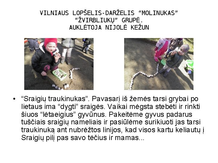 VILNIAUS LOPŠELIS-DARŽELIS “MOLINUKAS” “ŽVIRBLIUKŲ” GRUPĖ. AUKLĖTOJA NIJOLĖ KEŽUN • “Sraigių traukinukas”. Pavasarį iš žemės