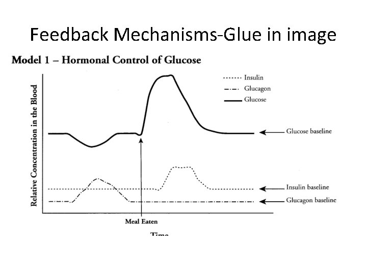 Feedback Mechanisms-Glue in image 