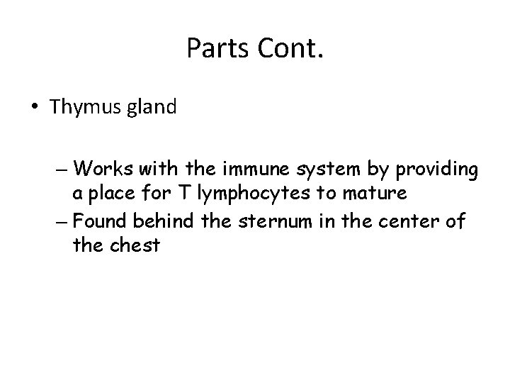 Parts Cont. • Thymus gland – Works with the immune system by providing a
