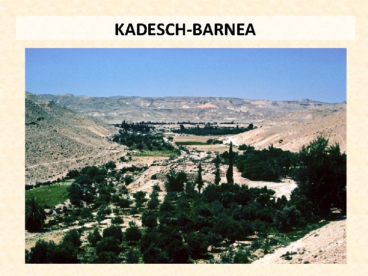 KADESCH-BARNEA 