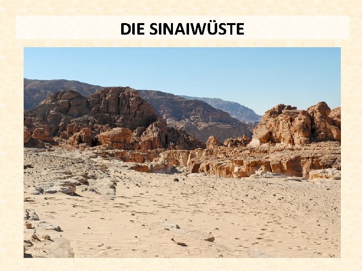 DIE SINAIWÜSTE 