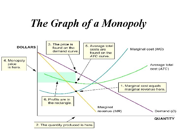 The Graph of a Monopoly 