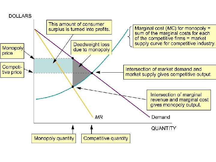 Deadweight Loss from Monopoly 