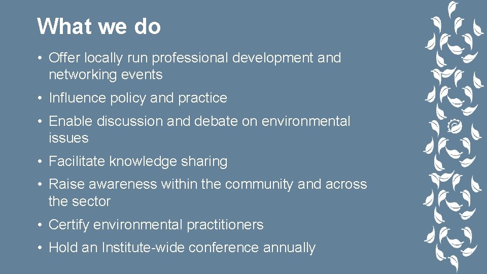 What we do • Offer locally run professional development and networking events • Influence