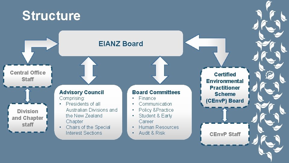 Structure EIANZ Board Central Office Staff Division and Chapter staff Advisory Council Board Committees