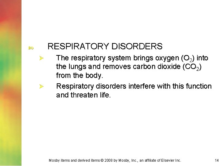 RESPIRATORY DISORDERS Ø Ø The respiratory system brings oxygen (O 2) into the lungs