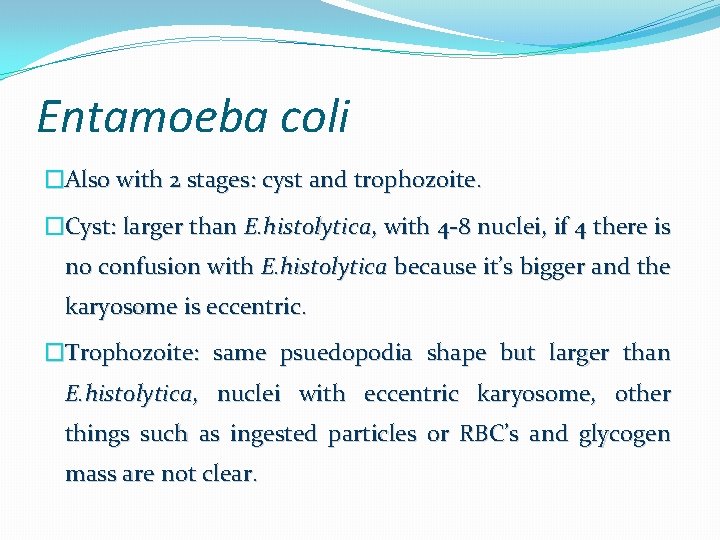 Entamoeba coli �Also with 2 stages: cyst and trophozoite. �Cyst: larger than E. histolytica,