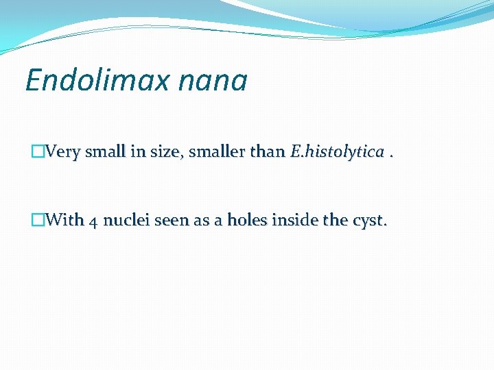 Endolimax nana �Very small in size, smaller than E. histolytica. �With 4 nuclei seen