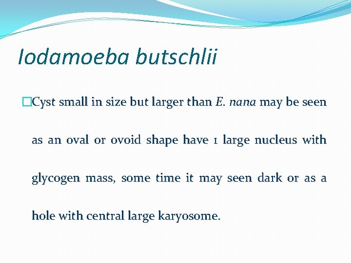 Iodamoeba butschlii �Cyst small in size but larger than E. nana may be seen