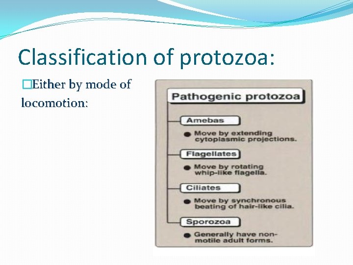 Classification of protozoa: �Either by mode of locomotion: 